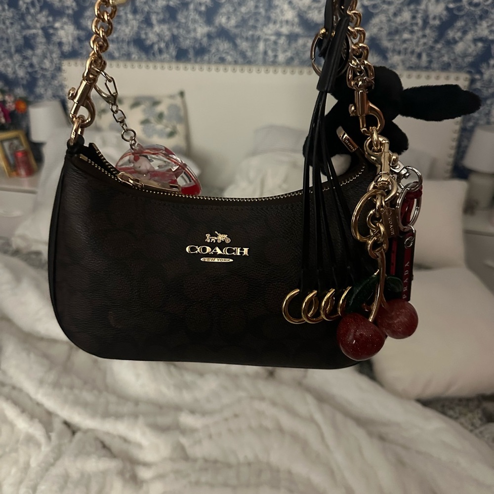 Coach Teri bag in signature print